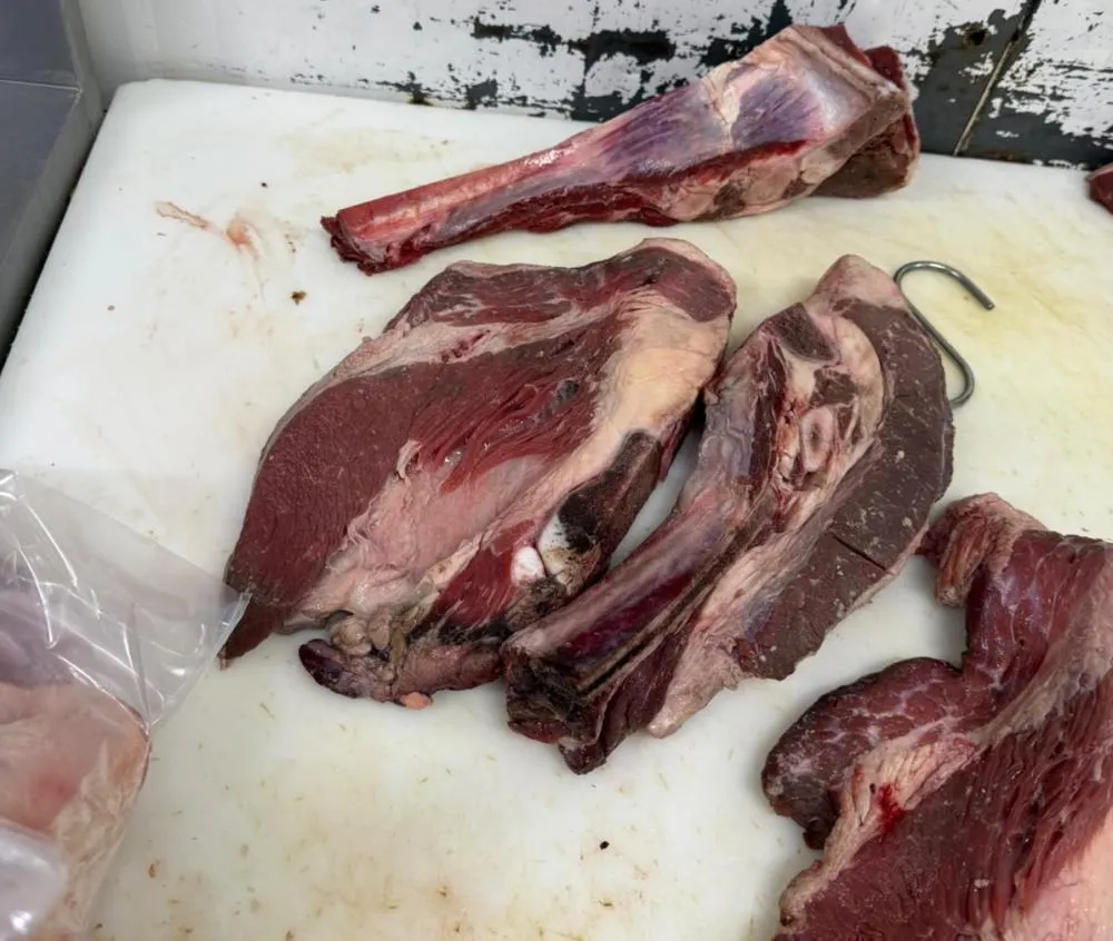 Também foram encontradas carnes em avançado estado de deterioração, consideradas impróprias para o consumo. (Foto: Reprodução).