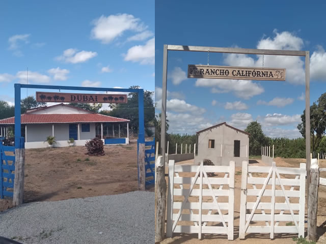 Segundo a Capitão Thais Vilar, comandante da 3ª Cia/BPAmb essa primeira operação foi realizada de forma mais educativa (Foto: Reprodução)