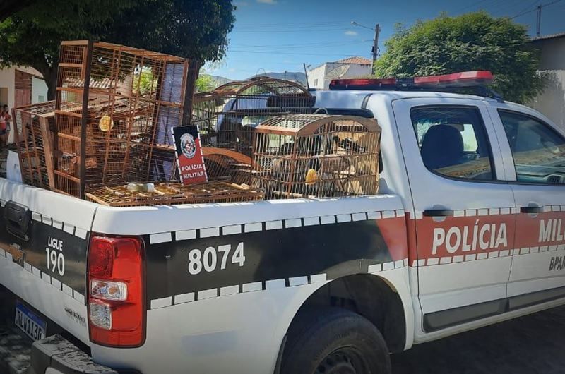 O infrator foi conduzido à Delegacia de Polícia Civil de Sousa e apresentado a autoridade competente para providências (Foto: Divulgação PMPB)