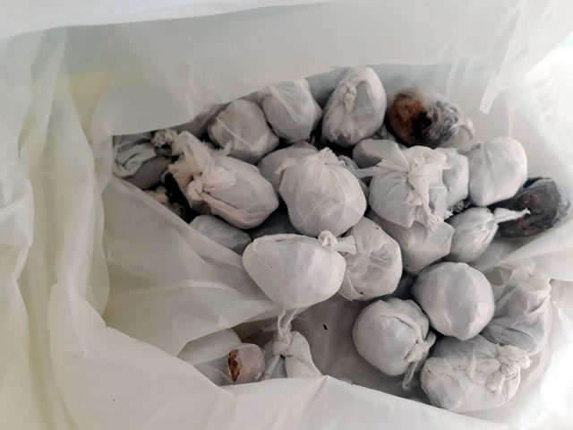 A polícia acredita que possivelmente a droga seria arremessada para o interior da unidade prisional (Foto: Reprodução)