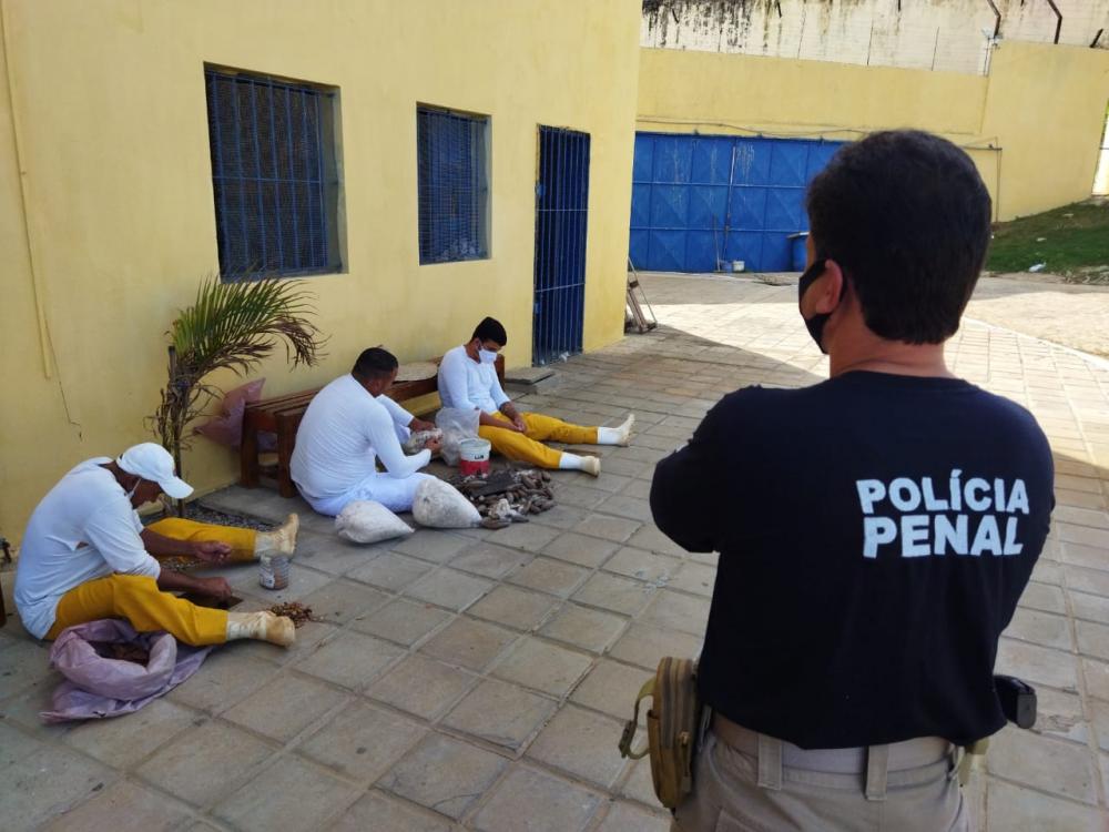 O projeto tem como nome Frutos da Liberdade que será mais uma atividade desempenhada pelos internos da unidade prisional (Foto: Reprodução)