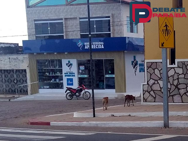 No crime praticado o assaltante subtraiu um valor em dinheiro não revelado e em seguida foragiu tomando destino incerto (Foto: Reprodução)