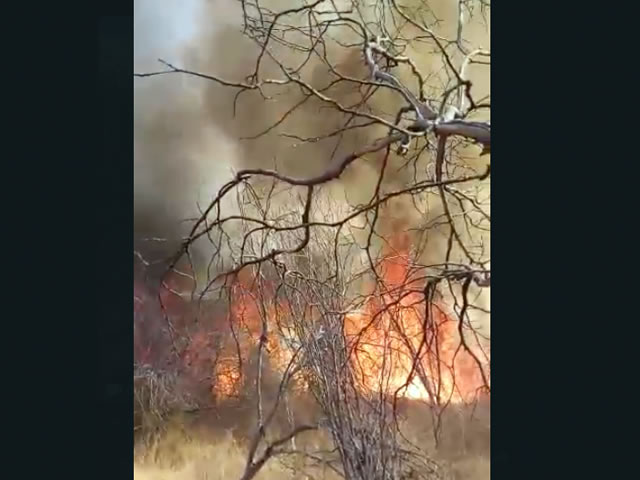 Após algumas horas de contenção, populares conseguiram debelar as chamas e o incêndio foi controlado (Foto: Reprodução Redes Sociais)