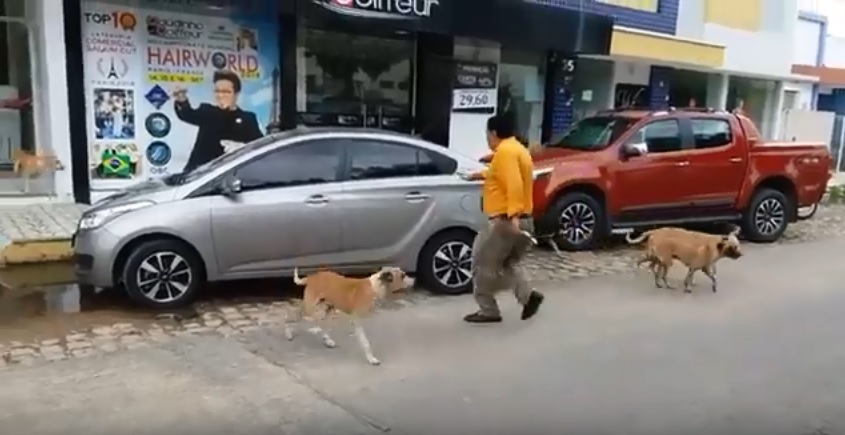 Repórter dos oculos denuncia cachorrada no centro de Sousa. (Foto: Reprodução).