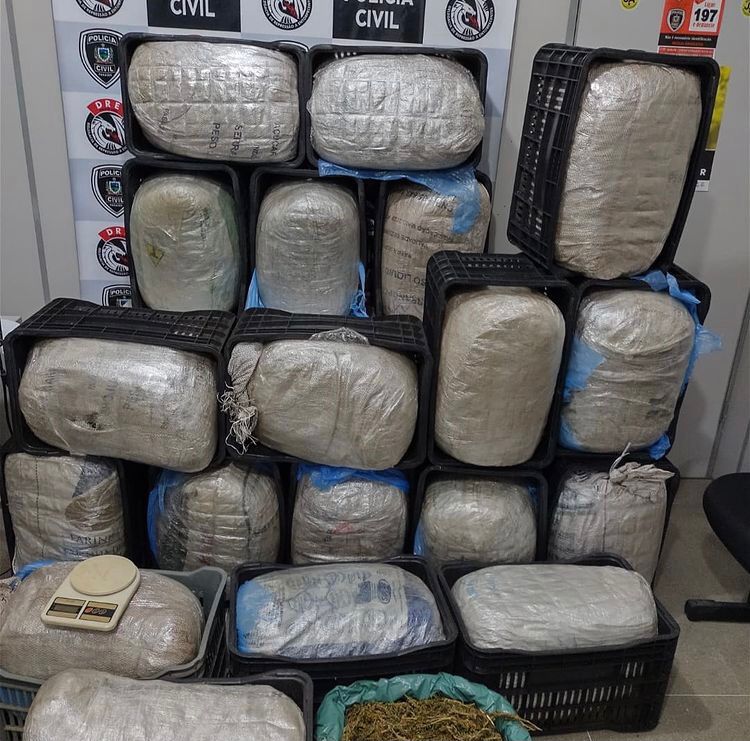 A droga foi encaminhada ao Instituto de Polícia Científica (IPC), para exames periciais de praxe, e depois ficará à disposição da Justiça (Foto: Divulgação PCPB)