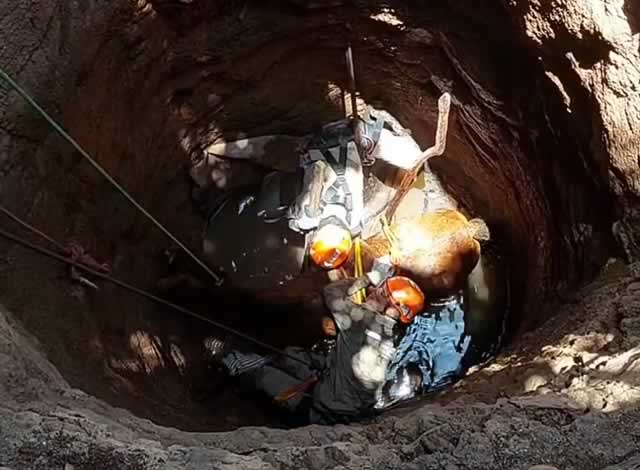 A equipe de busca e salvamento compareceu ao local indicado, e após amarrarem a égua com segurança, foi feita a retirada do poço utilizando as técnicas necessárias (Foto: Reprodução)