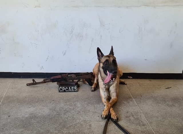 A arma foi entregue na delegacia de polícia à autoridade judicial de plantão para as providências cabíveis (Foto: Divulgação PMPB)
