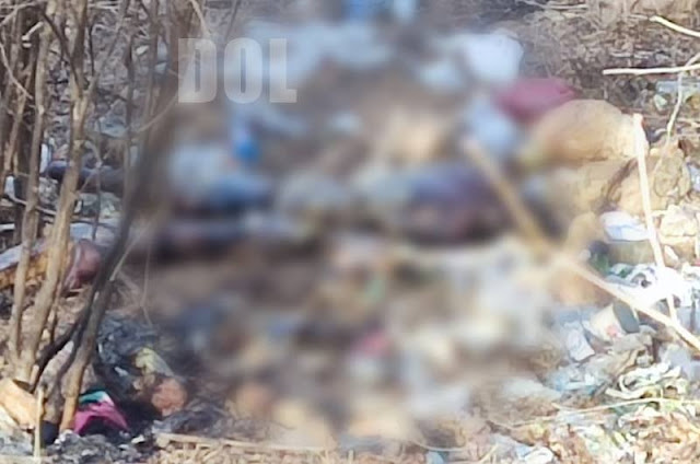 Posteriormente o corpo foi encaminhado ao NUMOL de Patos para ser feita a autópsia e divulgada a verdadeira causa morte (Foto: Reprodução Diamante Online)