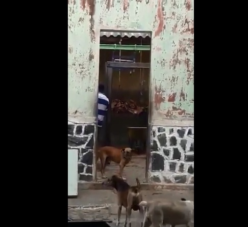 As imagens mostram o estado de abandono e a falta de higiene no local. (Foto: Reprodução).