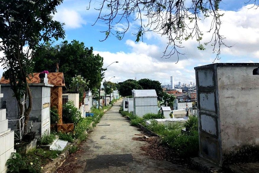 Ainda segundo o delegado, o homem não possui passagem ou antecedentes criminais. (Foto: Reprodução).