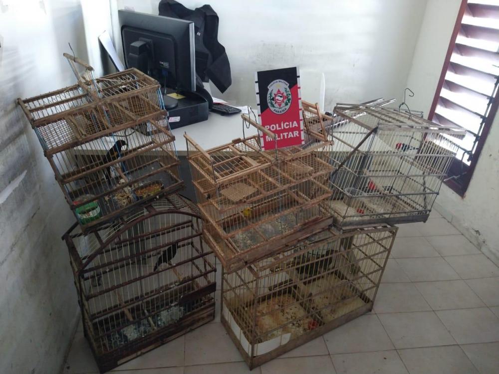 O suspeito, o armamento e as aves silvestres foram encaminhadas à Delegacia de Polícia Civil de Sousa. (Foto Divulgação Polícia Militar).
