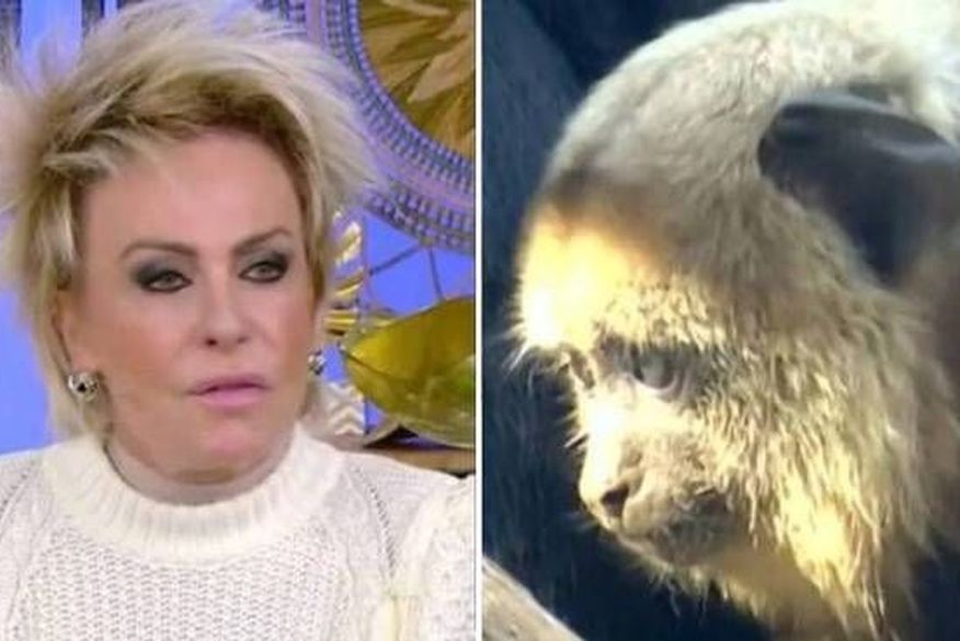 Ana Maria Braga (Foto: Reprodução/Redes Sociais)