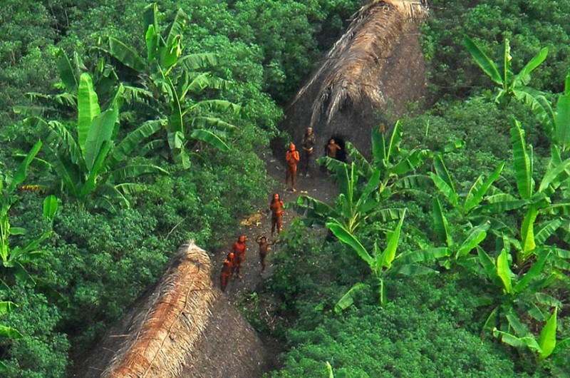 Povos indígenas isolados estão entre os alvos do crime organizado na Amazônia - Gleilson Miranda/Governo do Acre
