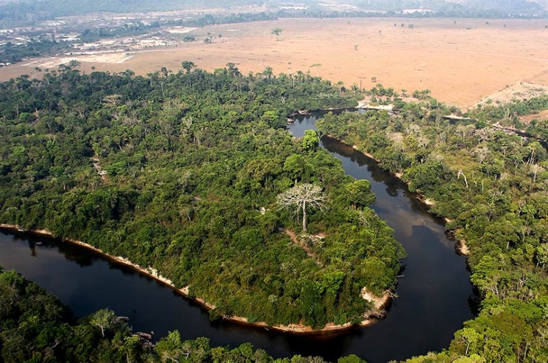 Política fundiária do governo na Amazônia pode ter ciclo de debates na Comissão de Meio Ambiente - Felipe Werneck/Ibama