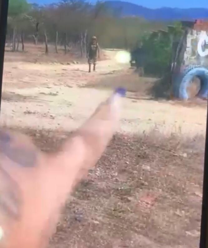 O crime de maus tratos a animais é inafiançável e tem uma pena de até 5 anos de prisão (Foto: Reprodução)