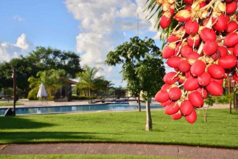 Os Paraibanos estão passando a quarentena em Bananeiras ou em Gurinhém, dois redutos de casas de campo mais tradicionais do Estado. (Foto: Reprodução).