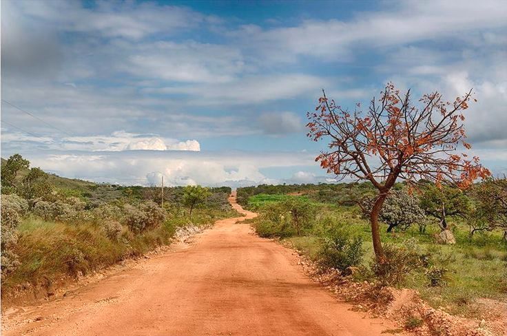 DER se quer elaborou projetos para construção de várias rodovias na PB; acesso aos Distritos de Campo Alegre, Bandarra e estradas de Vieirópolis-Uiraúna e Aguiar-Coremas estão na relação