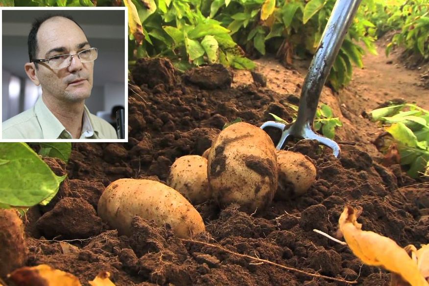 Coriolano Coutinho não obteve autorização para morar em sítio em Bananeiras (Foto: Reprodução).