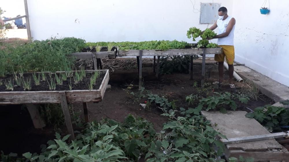 As hortas proporcionam imagens que em nada lembra uma Unidade Prisional (Foto Divulgação SEAP)