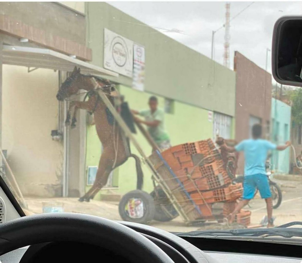 Burro fica suspenso em carroça com excesso de peso no Bairro Salesianos, em Juazeiro do Norte. — Foto: Divulgação
