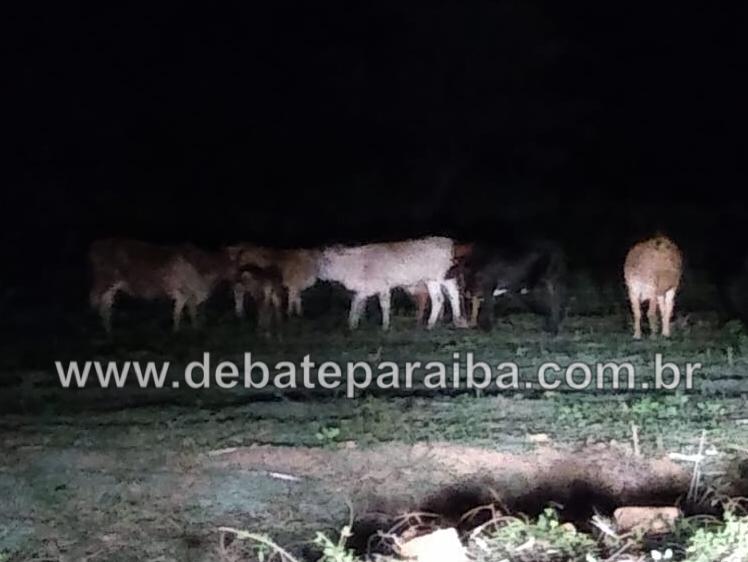 As investigações do caso terão continua para que as medidas necessárias sejam adotadas (Foto: Reprodução)
