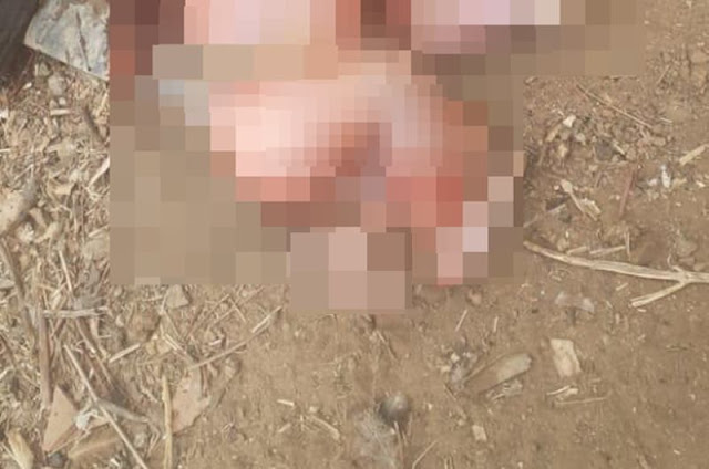 O corpo do bebê foi removido do local e encaminhado para a realização da perícia (Foto: Reprodução)