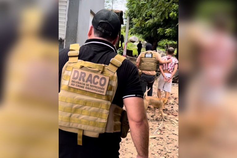 De acordo com a Polícia Civil, os crimes teriam ocorrido em janeiro e março deste ano. (Foto: Reprodução).