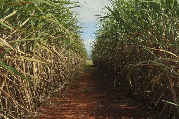 © Elza Fiuza/Agência Brasil
