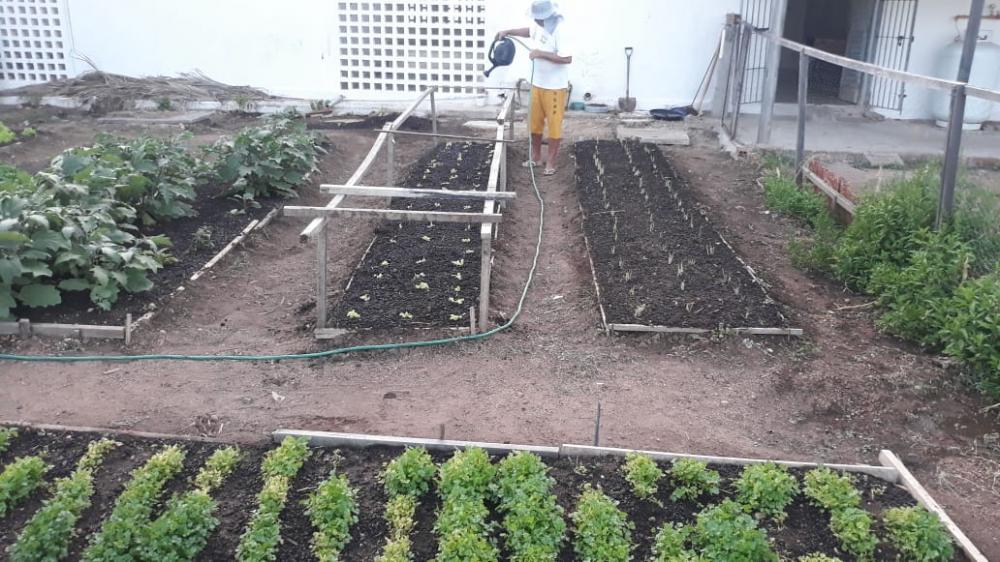 Apenados cultivam hortícolas que reforçam a alimentação de toda população carcerária (Foto: Divulgação SEAP)