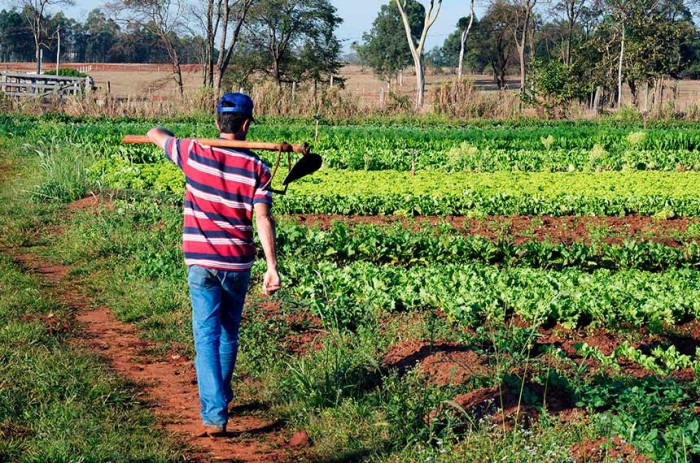 Na pauta da CRA, projeto que facilita o credenciamento de entidades executoras do Pronater