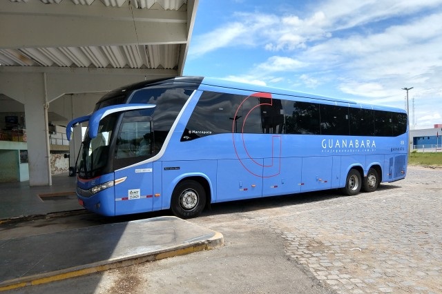 O fato ocorreu no dia 22 de dezembro de 2018, quando os proprietários do animal embarcaram no ônibus da empresa na rodoviária no município de Sousa, com destino a João Pessoa. (Foto: Reprodução).