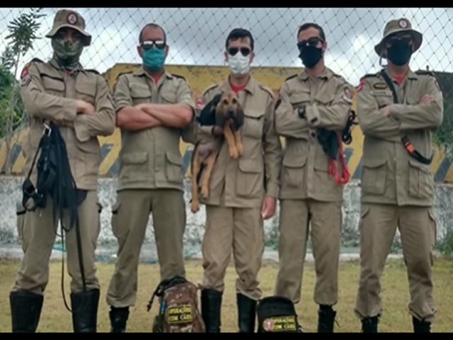 O Batalhão recebeu um filhote da raça Bloodhound. O novo integrante recebeu o nome de Hunter e será treinado pelos militares para realizar buscas nessa região (Foto: Reprodução 6° BBM)
