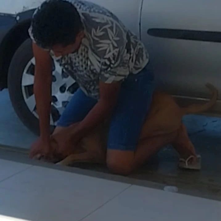Homem tenta matar animal por asfixia em posto de combustíveis na cidade de Sousa