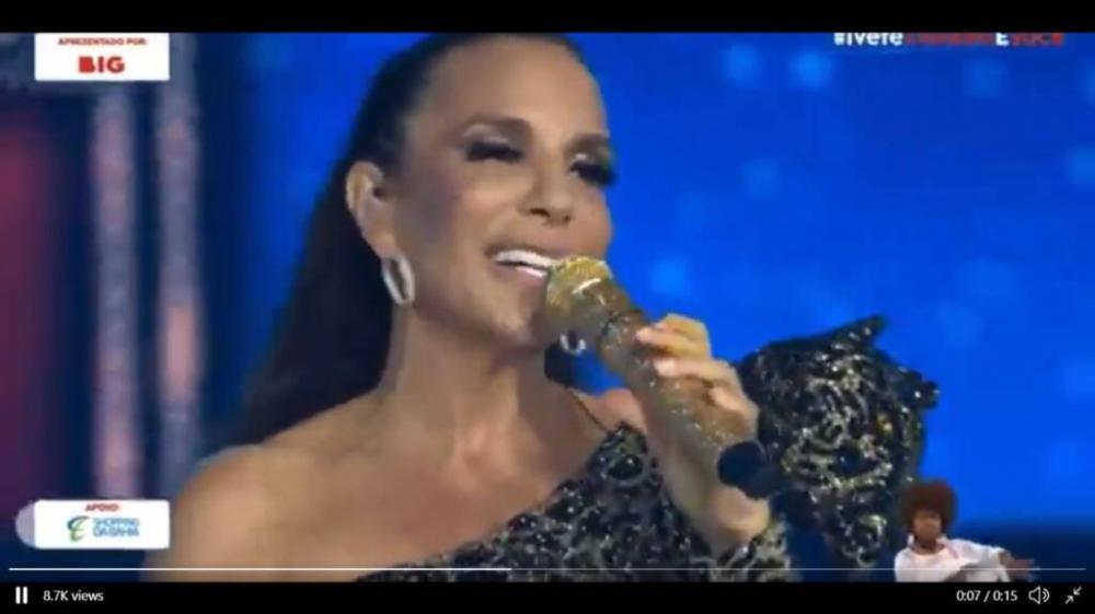 A cantora fez referência aos decretos que facilitam posse e porte de armas, assinados pelo presidente, e à política do governo de combate à pandemia (Foto: Reprodução)