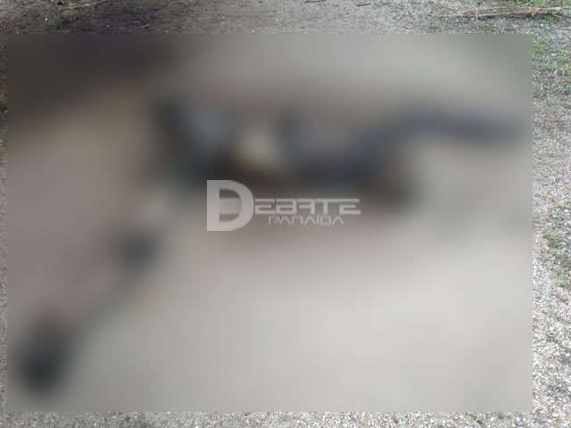 Corpo é encontrado em avançado estado de decomposição na zona rural de Pombal; Polícia Civil investiga o caso