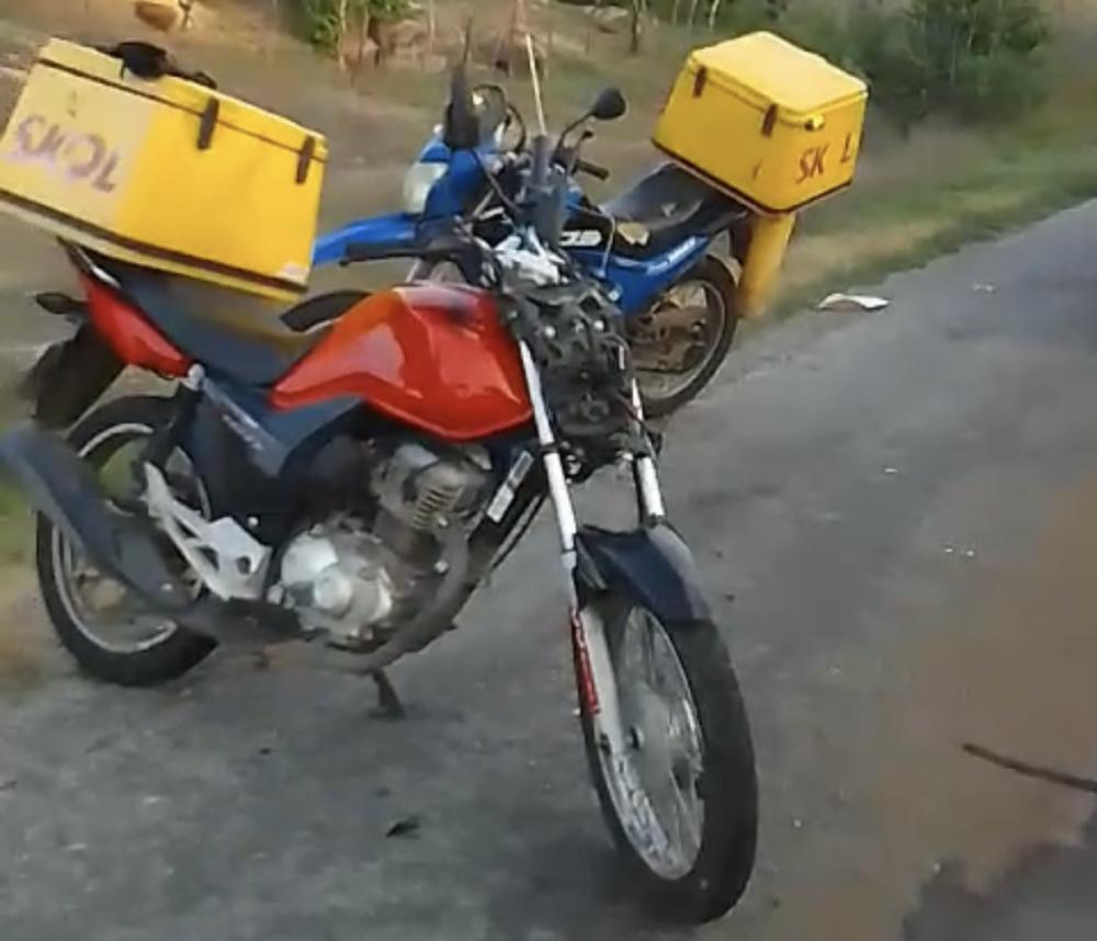 Devido ao forte impacto, o animal morreu no local e a moto ficou danificada (Foto: Reprodução)