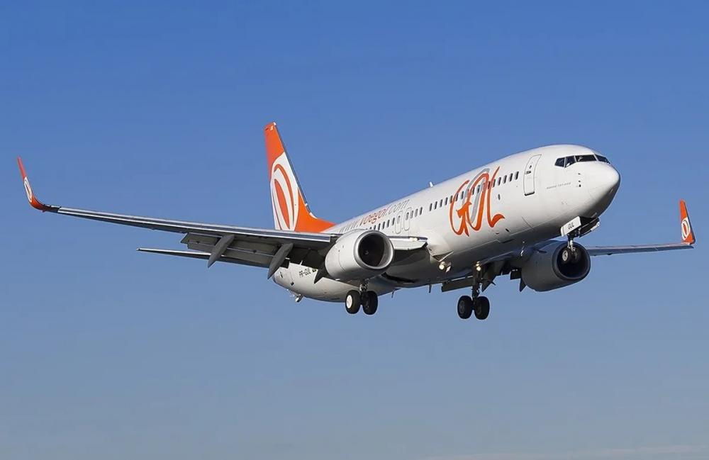 O atraso, segundo a empresa, foi em razão de manutenção realizada na aeronave, devido a fato ocorrido conhecido como Bird Strike (colisão de aeronaves com pássaros) (Foto: Reprodução)