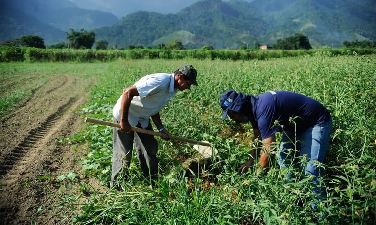 Governo Federal libera pagamento do Garantia Safra para agricultores de 83 municípios paraibano; Sousa, Vieirópolis, Santa Cruz e São Francisco estão na relação