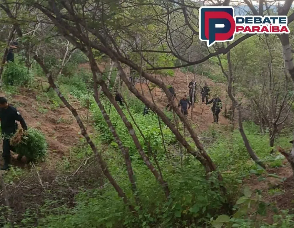 O delegado de Polícia Federal que acompanhou a operação policial, lavrou o flagrante (Foto: Reprodução)