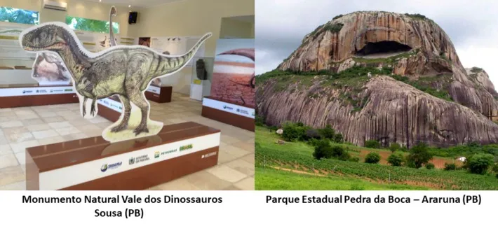 As inscrições para a seleção das instituições estão abertas até o dia (05) de junho e a execução dos programas ficará a cargo do Funbi. (Foto: Reprodução).