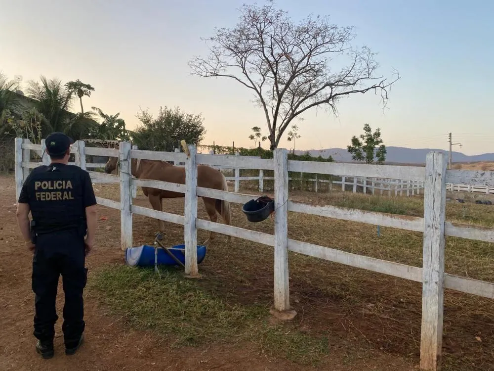 Foram cumpridos ao menos 12 mandados de busca e apreensão, em Cajazeiras. (Foto: Policia Federal).