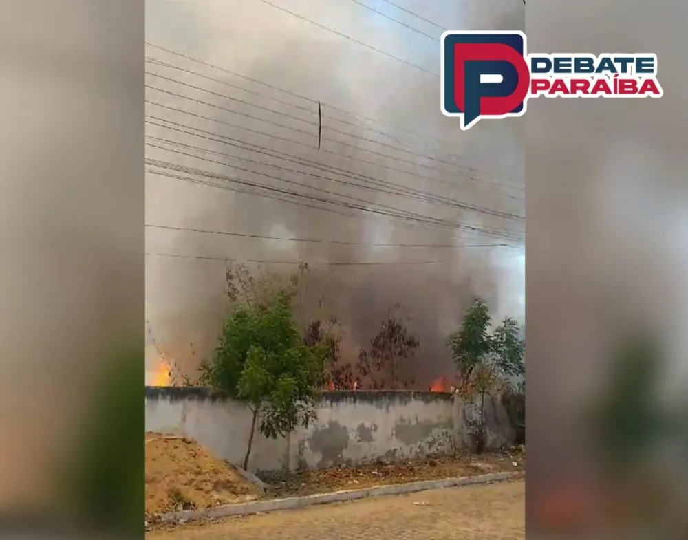 Com o trabalho exitoso, foi possível evitar que as chamas se alastrassem para residências vizinhas ou que atingisse a fiação elétrica (Foto: Reprodução)