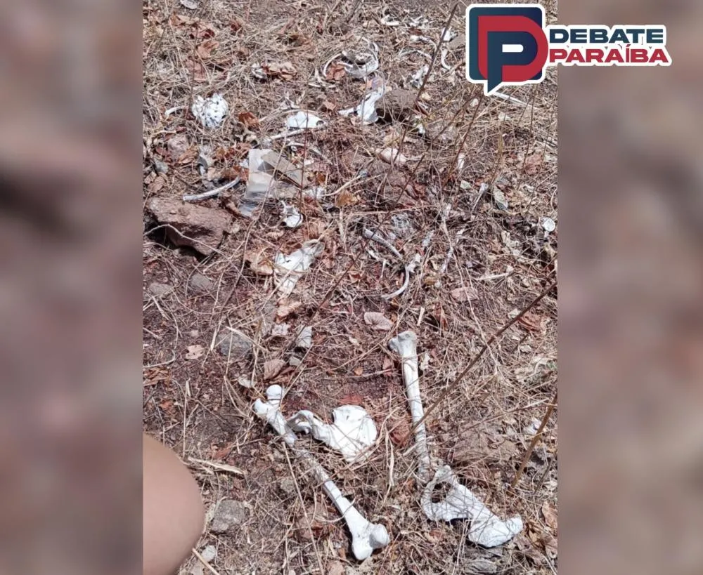 Nos próximos dias deverá ser divulgado o laudo pericial do NUMOL (Foto: Reprodução)