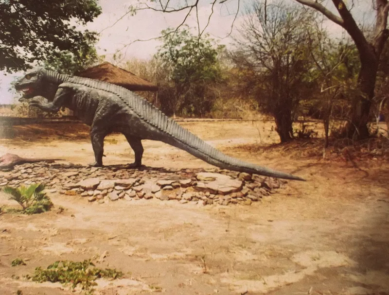 Governo da PB promove o 1º Congresso Internacional de Paleontologia, em Sousa. (Foto: Reprodução).