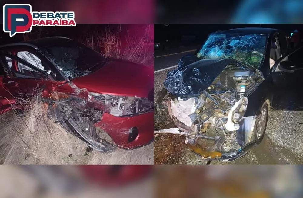 Uma perícia foi realizada no local pelos agentes da PRF, para que fossem adotados os procedimentos cabíveis (Foto: Reprodução)
