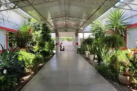  A nova legislação estabelece um reajuste nos repasses financeiros destinados ao Centro de Educação Especial Integrado Geny Ferreira (CEEIGEF) para o ano de 2025. (Foto: Reprodução).
