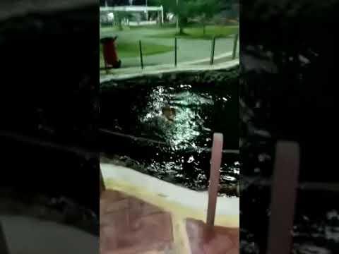 Mulher é flagrada tomando banho só de calcinha em praça pública da cidade de Sousa