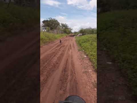 Moradores do Assentamento Imaculada protestam contra despejo de lixo em estrada que dá acesso à comunidade
